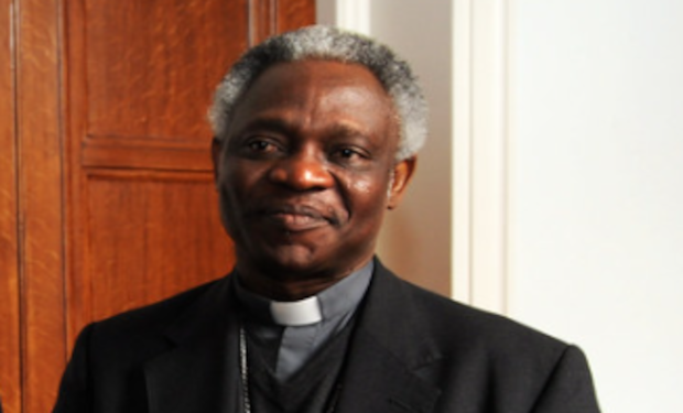 Il card. Turkson: bisogna educare a comprendere che le persone LGBT